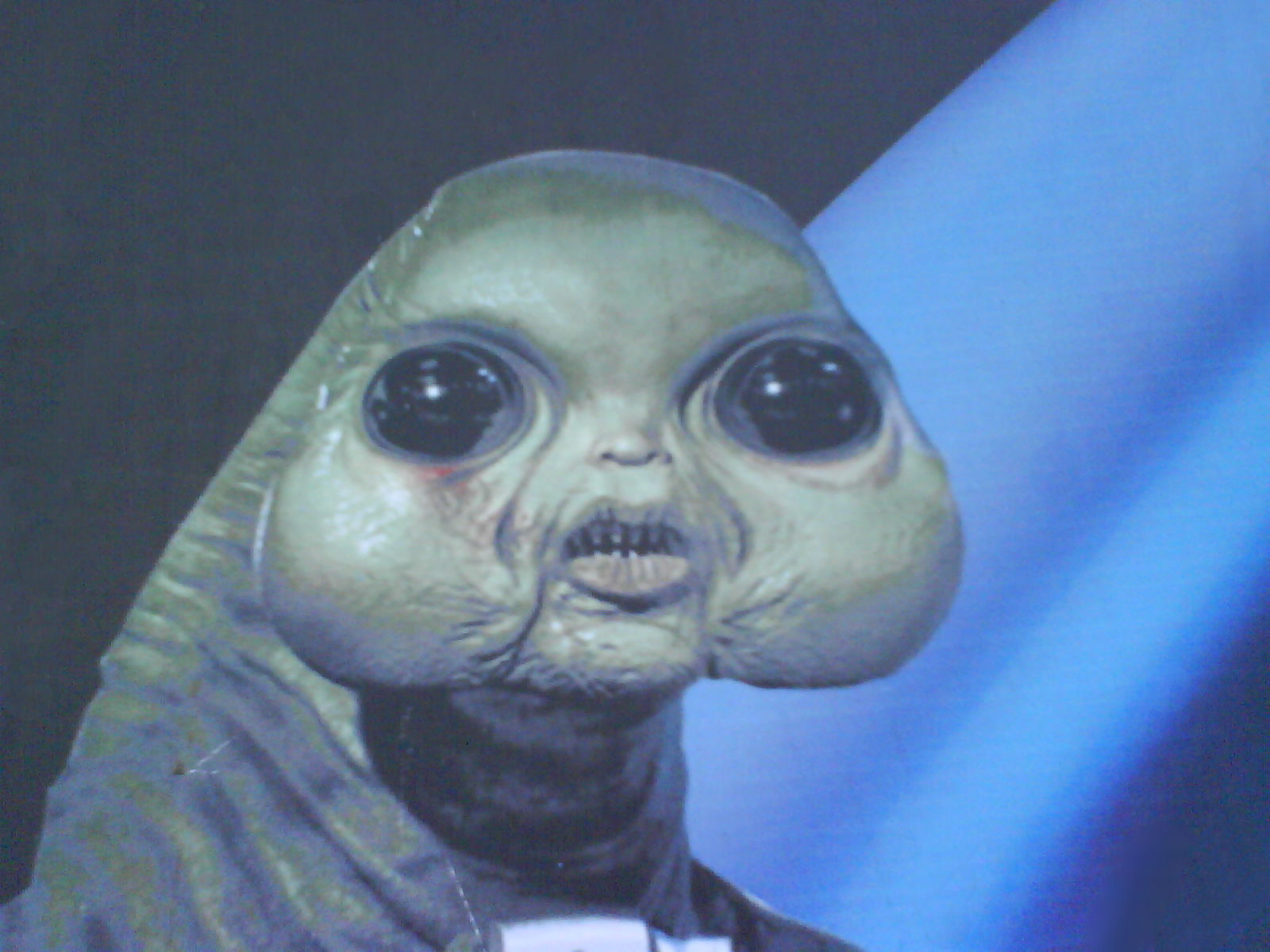 Alien ayy lmao