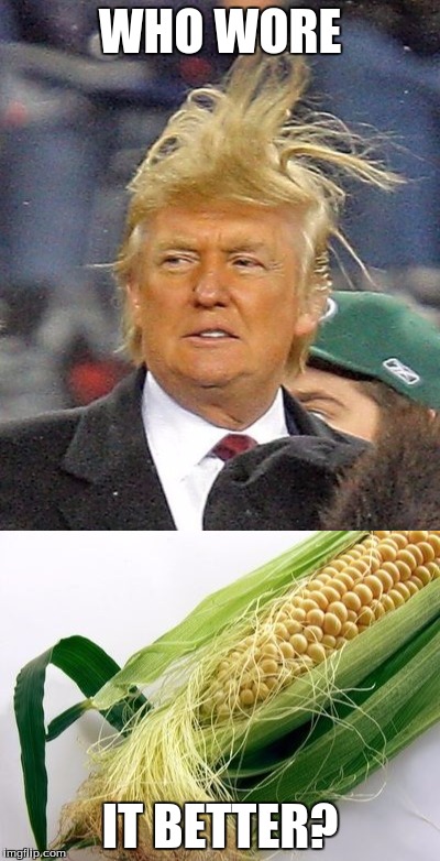 corn and trump | WHO WORE; IT BETTER? | image tagged in corn,donald trump,dank hair | made w/ Imgflip meme maker