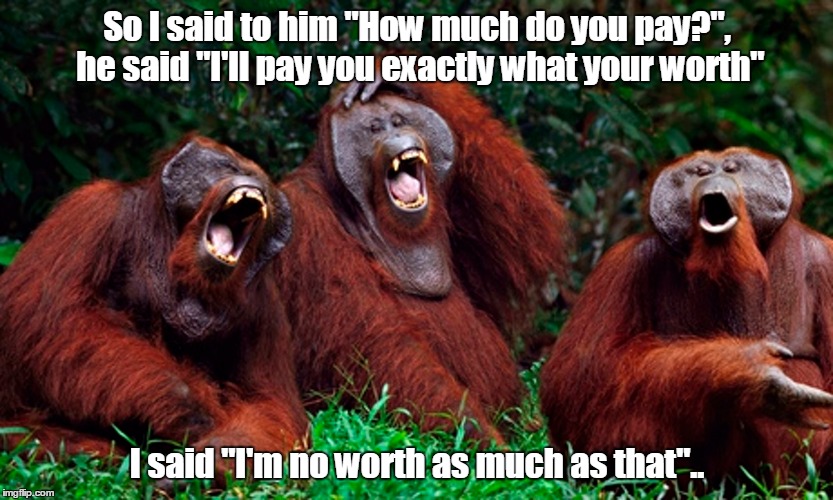 themonkees | So I said to him "How much do you pay?", he said "I'll pay you exactly what your worth"; I said "I'm no worth as much as that".. | image tagged in pay,worth | made w/ Imgflip meme maker