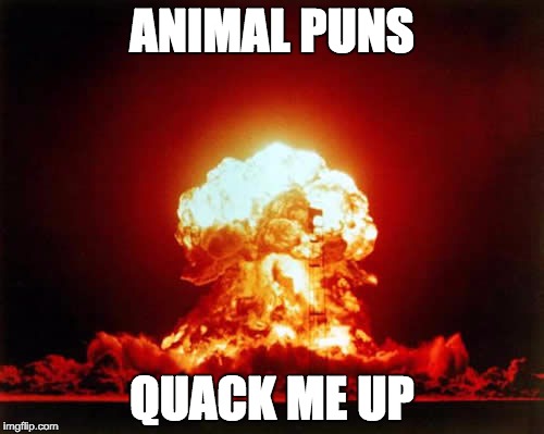 Nuclear Explosion Meme | ANIMAL PUNS; QUACK ME UP | image tagged in memes,nuclear explosion | made w/ Imgflip meme maker