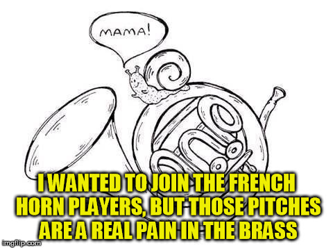 Slow Played This Pun | I WANTED TO JOIN THE FRENCH HORN PLAYERS, BUT THOSE PITCHES ARE A REAL PAIN IN THE BRASS | image tagged in marching band,horns | made w/ Imgflip meme maker