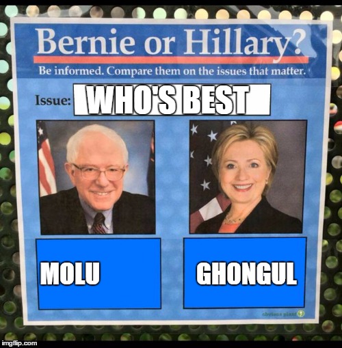 Bernie or Hillary? | WHO'S BEST; MOLU                    GH0NGUL | image tagged in bernie or hillary,molu | made w/ Imgflip meme maker