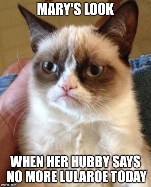 Grumpy Cat Meme | MARY'S LOOK; WHEN HER HUBBY SAYS NO MORE LULAROE TODAY | image tagged in memes,grumpy cat | made w/ Imgflip meme maker