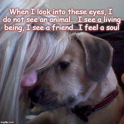 my dogs eyes | When I look into these eyes, I do not see an animal...
I see a living being, I see a friend...I feel a soul | image tagged in dog,love my dog | made w/ Imgflip meme maker