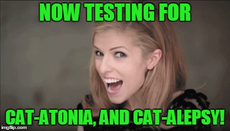 NOW TESTING FOR CAT-ATONIA, AND CAT-ALEPSY! | made w/ Imgflip meme maker