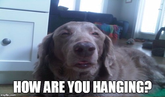 HOW ARE YOU HANGING? | made w/ Imgflip meme maker