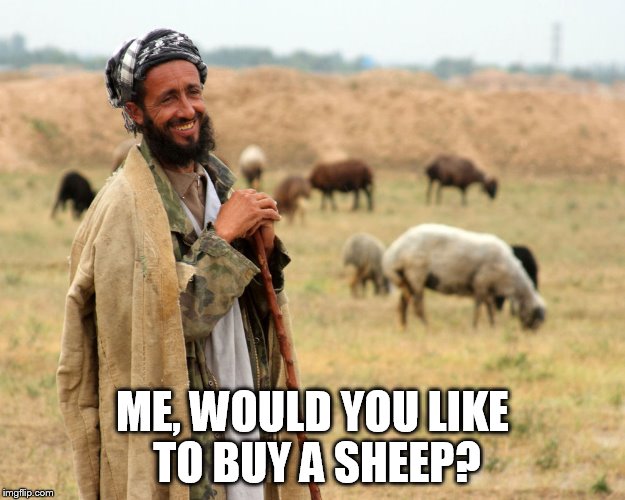 Shepard | ME, WOULD YOU LIKE TO BUY A SHEEP? | image tagged in shepard | made w/ Imgflip meme maker