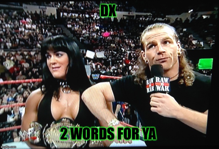 DX Shawn Michaels and Chyna  | DX; 2 WORDS FOR YA | image tagged in wrestling | made w/ Imgflip meme maker