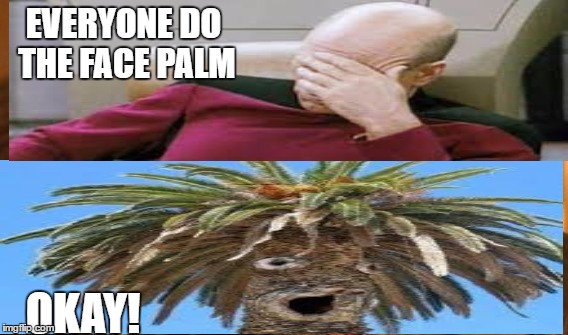 Facepalm | EVERYONE DO THE FACE PALM; OKAY! | image tagged in lol | made w/ Imgflip meme maker