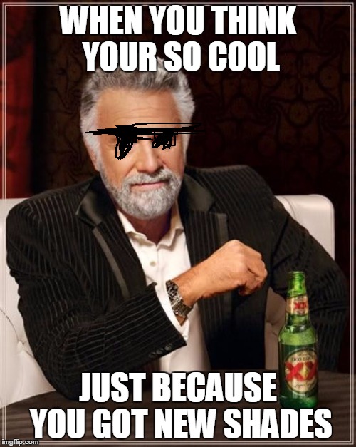 The Most Interesting Man In The World | WHEN YOU THINK YOUR SO COOL; JUST BECAUSE YOU GOT NEW SHADES | image tagged in memes,the most interesting man in the world | made w/ Imgflip meme maker