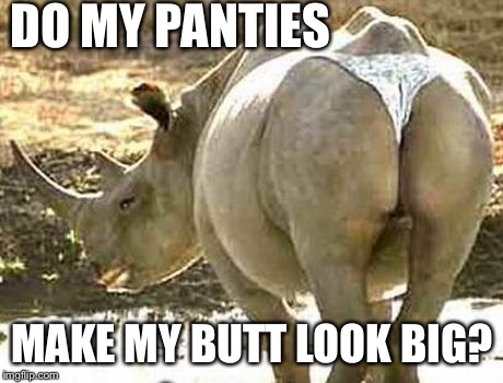 Lake Victoria's Secret | DO MY PANTIES; MAKE MY BUTT LOOK BIG? | image tagged in meme,rhino,panties | made w/ Imgflip meme maker