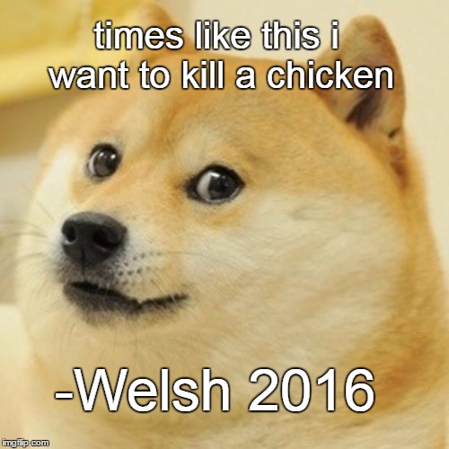 Doge Meme | times like this i want to kill a chicken; -Welsh 2016 | image tagged in memes,doge | made w/ Imgflip meme maker