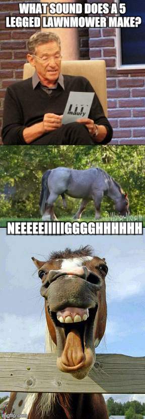 I know I should be more mature than this, but c'mon... some things boys will always find funny! | WHAT SOUND DOES A 5 LEGGED LAWNMOWER MAKE? NEEEEEIIIIIGGGGHHHHHH | image tagged in horse,funny | made w/ Imgflip meme maker