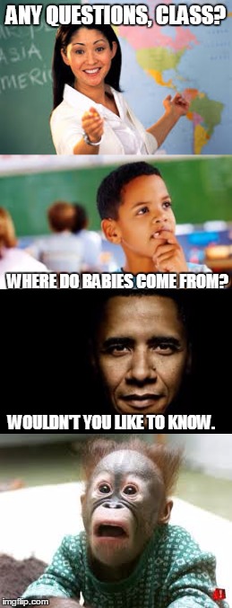 Babies!! | ANY QUESTIONS, CLASS? WHERE DO BABIES COME FROM? WOULDN'T YOU LIKE TO KNOW. | image tagged in i had to add a tag | made w/ Imgflip meme maker