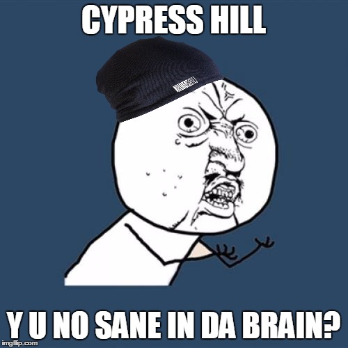 Y U No Meme | CYPRESS HILL Y U NO SANE IN DA BRAIN? | image tagged in memes,y u no | made w/ Imgflip meme maker