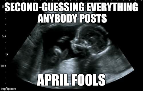 sonogram | SECOND-GUESSING EVERYTHING ANYBODY POSTS; APRIL FOOLS | image tagged in sonogram | made w/ Imgflip meme maker