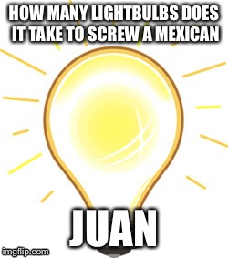 Lightbulb | HOW MANY LIGHTBULBS DOES IT TAKE TO SCREW A MEXICAN; JUAN | image tagged in lightbulb | made w/ Imgflip meme maker