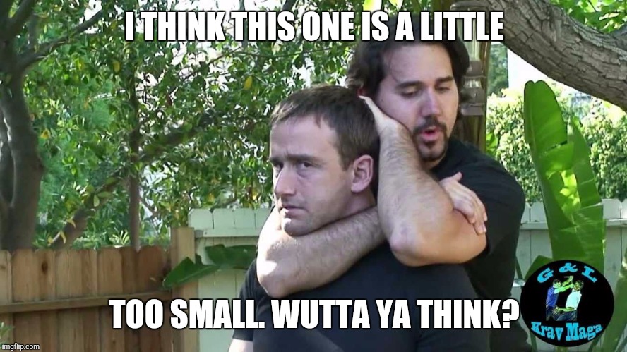I THINK THIS ONE IS A LITTLE TOO SMALL. WUTTA YA THINK? | made w/ Imgflip meme maker