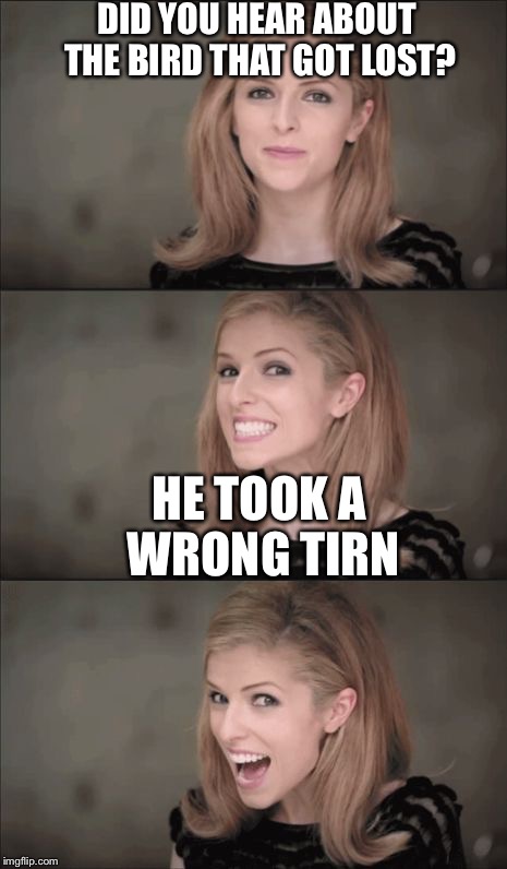 Bad Pun Anna Kendrick | DID YOU HEAR ABOUT THE BIRD THAT GOT LOST? HE TOOK A WRONG TIRN | image tagged in memes,bad pun anna kendrick | made w/ Imgflip meme maker