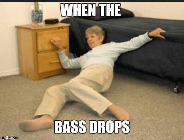 Life Alert | WHEN THE; BASS DROPS | image tagged in life alert | made w/ Imgflip meme maker