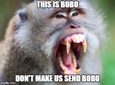 Bobo the monkey is angry | THIS IS BOBO; DON'T MAKE US SEND BOBO | image tagged in angry monkey,angry,monkey | made w/ Imgflip meme maker