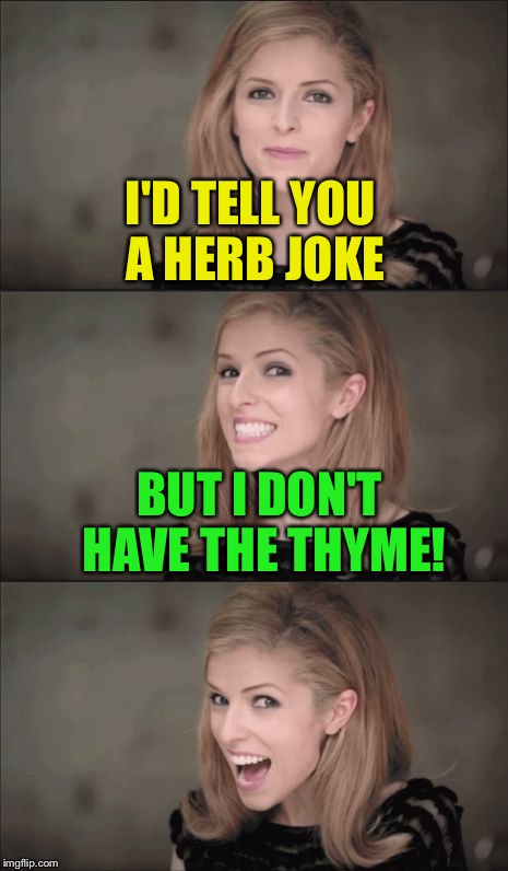 Half past chive, thyme for dinner | I'D TELL YOU A HERB JOKE; BUT I DON'T HAVE THE THYME! | image tagged in memes,bad pun anna kendrick | made w/ Imgflip meme maker