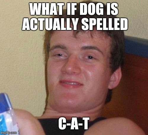 10 Guy | WHAT IF DOG IS ACTUALLY SPELLED; C-A-T | image tagged in memes,10 guy | made w/ Imgflip meme maker