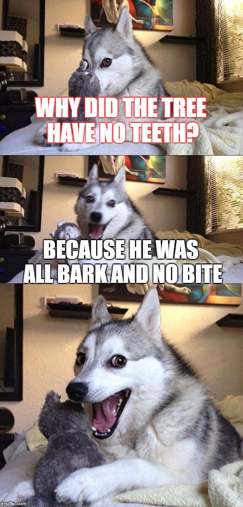Bad Pun Dog | WHY DID THE TREE HAVE NO TEETH? BECAUSE HE WAS ALL BARK AND NO BITE | image tagged in memes,bad pun dog | made w/ Imgflip meme maker