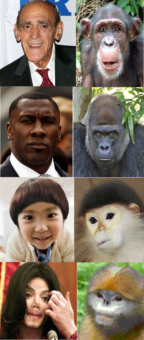 Who will this offend?  Whites, Blacks, Asians, Pro-Creationists  Blank Meme Template