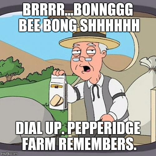 Pepperidge Farm Remembers | BRRRR...BONNGGG BEE BONG SHHHHHH; DIAL UP. PEPPERIDGE FARM REMEMBERS. | image tagged in memes,pepperidge farm remembers | made w/ Imgflip meme maker