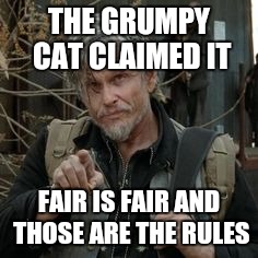 THE GRUMPY CAT CLAIMED IT FAIR IS FAIR AND THOSE ARE THE RULES | made w/ Imgflip meme maker