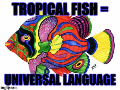 TROPICAL FISH =; UNIVERSAL LANGUAGE | image tagged in tropical fish,funny,aquarium | made w/ Imgflip meme maker