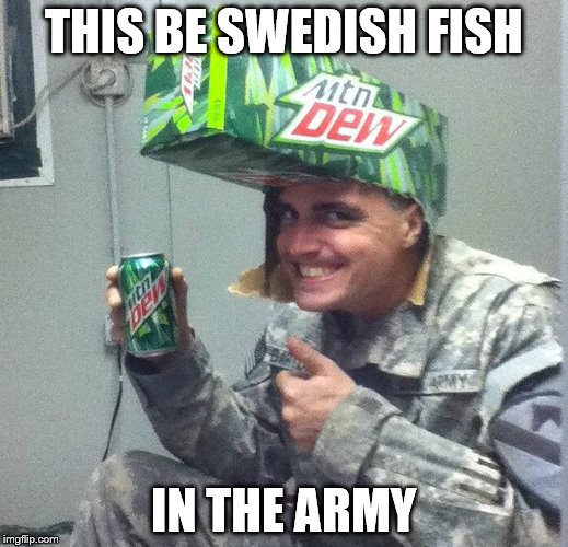 this is Swedish Fish in the Army | THIS BE SWEDISH FISH; IN THE ARMY | image tagged in swedishfish | made w/ Imgflip meme maker