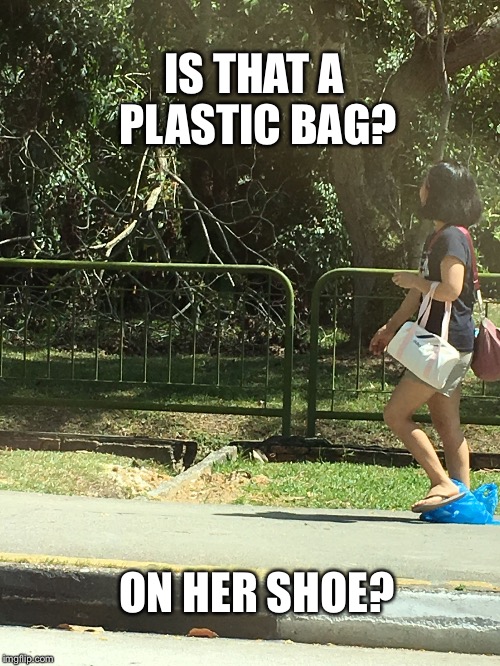 Encounter | IS THAT A PLASTIC BAG? ON HER SHOE? | image tagged in why the chicken cross the road | made w/ Imgflip meme maker