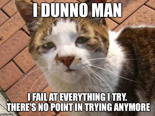 Depressed Cat :( | I DUNNO MAN; I FAIL AT EVERYTHING I TRY. THERE'S NO POINT IN TRYING ANYMORE | image tagged in depressed cat | made w/ Imgflip meme maker