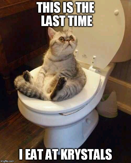 Toilet cat | THIS IS THE LAST TIME; I EAT AT KRYSTALS | image tagged in toilet cat | made w/ Imgflip meme maker