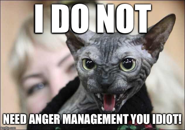 Anger management | I DO NOT; NEED ANGER MANAGEMENT YOU IDIOT! | image tagged in funny | made w/ Imgflip meme maker