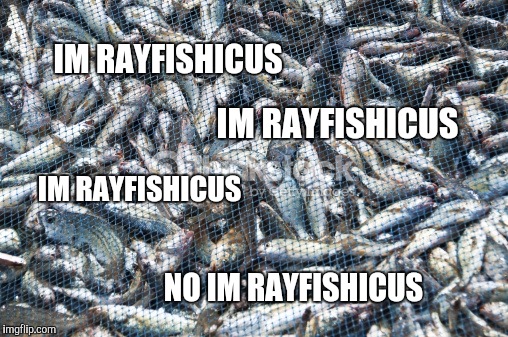 IM RAYFISHICUS NO IM RAYFISHICUS IM RAYFISHICUS IM RAYFISHICUS | made w/ Imgflip meme maker