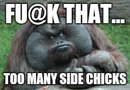 FU@K THAT... TOO MANY SIDE CHICKS | made w/ Imgflip meme maker