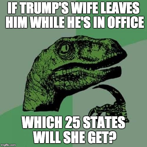 Philosoraptor Meme |  IF TRUMP'S WIFE LEAVES HIM WHILE HE'S IN OFFICE; WHICH 25 STATES WILL SHE GET? | image tagged in memes,philosoraptor | made w/ Imgflip meme maker