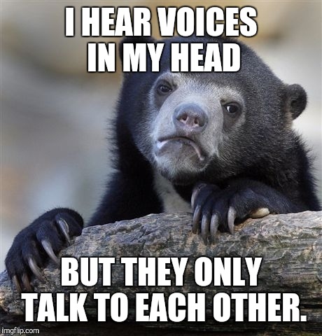 Confession Bear Meme | I HEAR VOICES IN MY HEAD BUT THEY ONLY TALK TO EACH OTHER. | image tagged in memes,confession bear | made w/ Imgflip meme maker