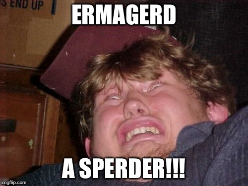 WTF | ERMAGERD; A SPERDER!!! | image tagged in memes,wtf | made w/ Imgflip meme maker