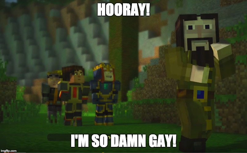 I'm So Damn Gay | HOORAY! I'M SO DAMN GAY! | image tagged in gay,minecraft | made w/ Imgflip meme maker