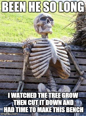 when you go shopping with your wife for shoes | BEEN HE SO LONG; I WATCHED THE TREE GROW THEN CUT IT DOWN AND HAD TIME TO MAKE THIS BENCH | image tagged in memes,waiting skeleton,first world problems | made w/ Imgflip meme maker