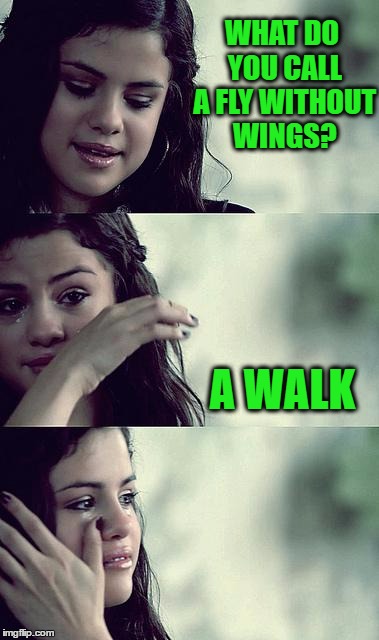 selena gomez crying | WHAT DO YOU CALL A FLY WITHOUT WINGS? A WALK | image tagged in selena gomez crying | made w/ Imgflip meme maker
