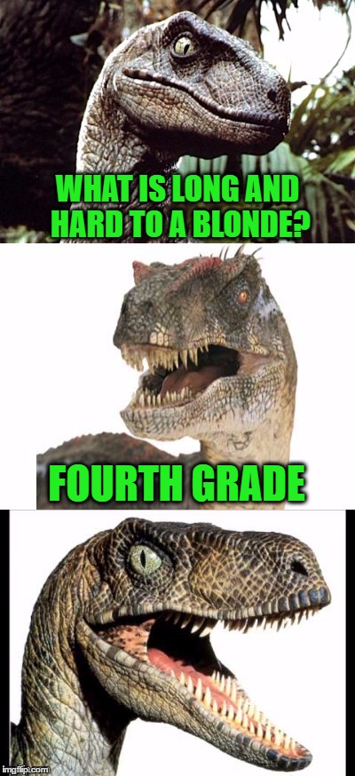 Bad Pun Phillosiraptor | WHAT IS LONG AND HARD TO A BLONDE? FOURTH GRADE | image tagged in bad pun phillosiraptor | made w/ Imgflip meme maker