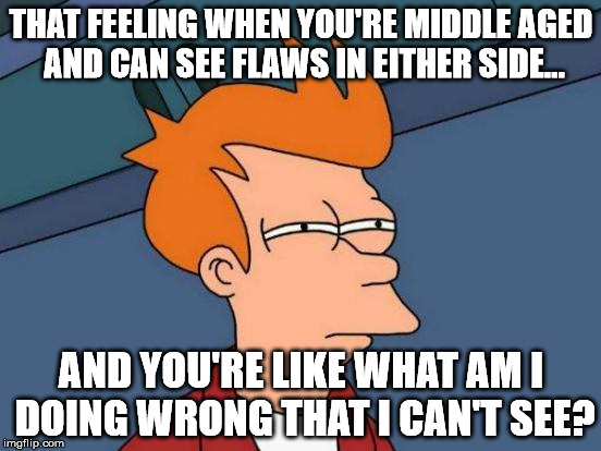 Futurama Fry | THAT FEELING WHEN YOU'RE MIDDLE AGED AND CAN SEE FLAWS IN EITHER SIDE... AND YOU'RE LIKE WHAT AM I DOING WRONG THAT I CAN'T SEE? | image tagged in memes,futurama fry | made w/ Imgflip meme maker