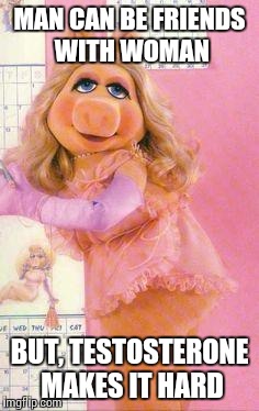 Miss piggy puns | MAN CAN BE FRIENDS WITH WOMAN; BUT, TESTOSTERONE MAKES IT HARD | image tagged in sexy mrs piggy,memes,funny memes | made w/ Imgflip meme maker