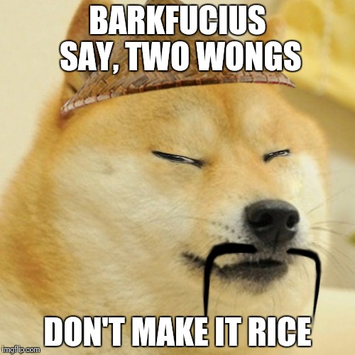 Barkfucius asian Doge Barkfucious | BARKFUCIUS SAY, TWO WONGS; DON'T MAKE IT RICE | image tagged in barkfucius asian doge barkfucious,memes,barkfucius,funny memes,funny dogs | made w/ Imgflip meme maker