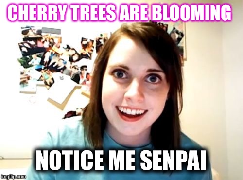 Overly Attached Girlfriend Meme | CHERRY TREES ARE BLOOMING; NOTICE ME SENPAI | image tagged in memes,overly attached girlfriend | made w/ Imgflip meme maker